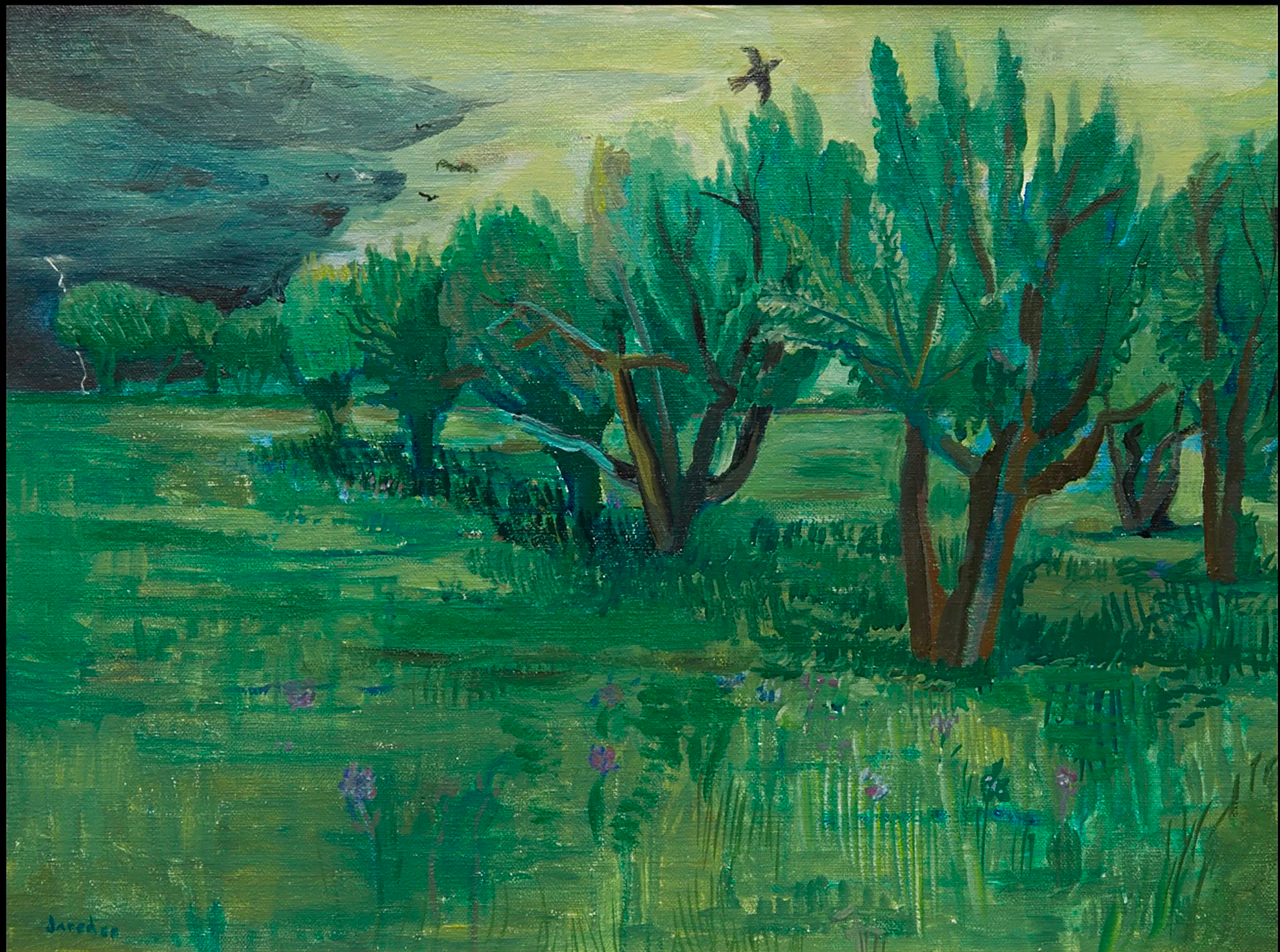Orchard in Front of Medanales Rental